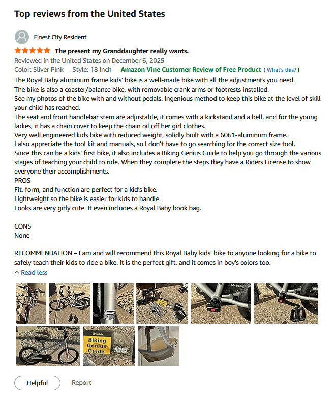 Real review of Royalbaby EZ model on Amazon