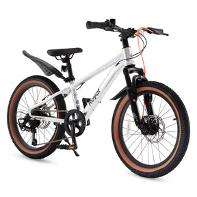 King Plus Mountain Bike