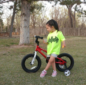 RoyalBaby Freestyle  Dual Hand Brakes Kids Bike
