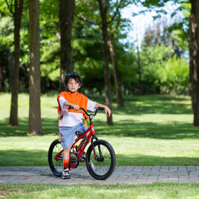 Royalbaby Chipmunk Rocket Bicycle Kids Bike for 3 9 Years Old Mutiple Color
